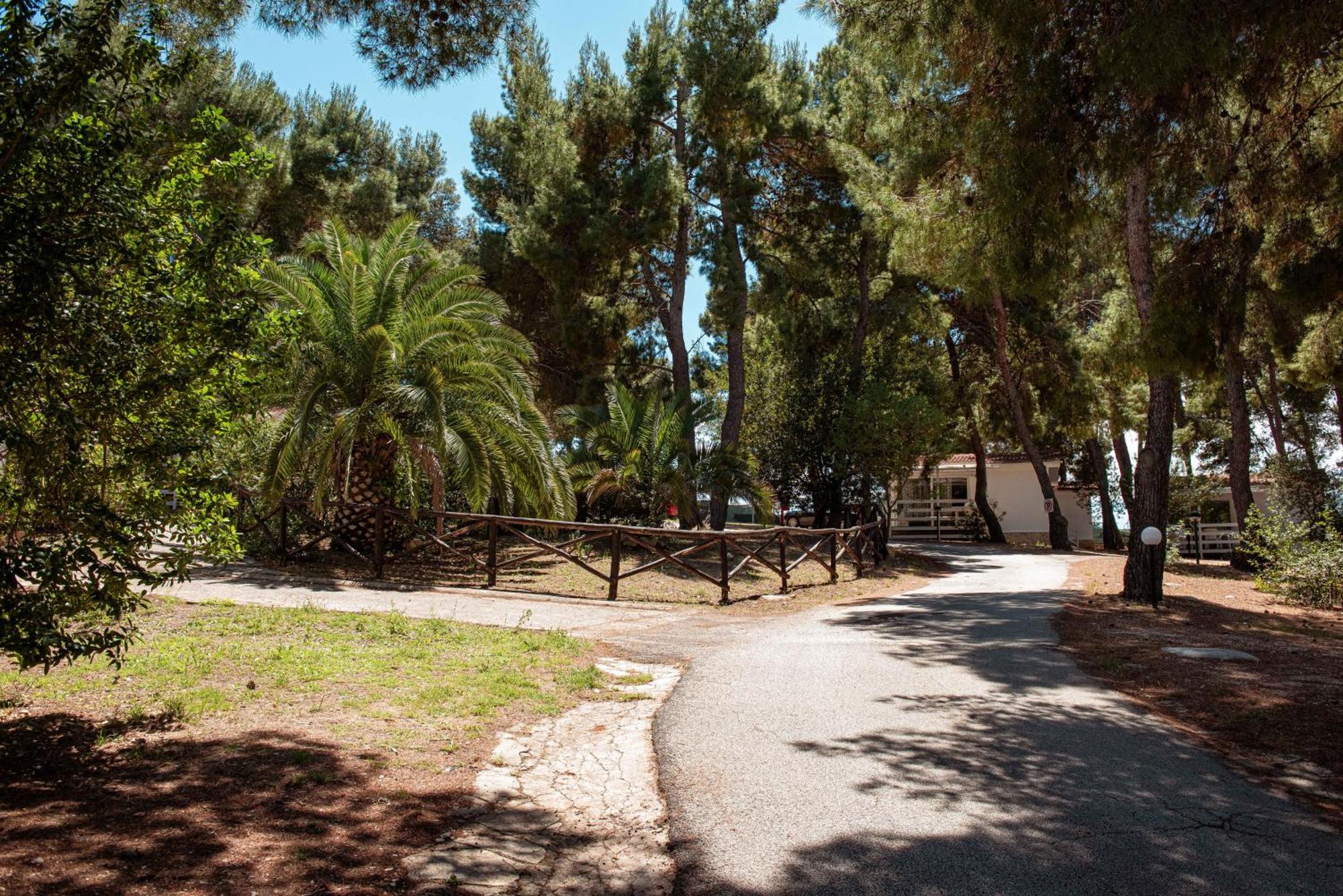 Villaggio Camping Punta Lunga Vieste Bagian luar foto